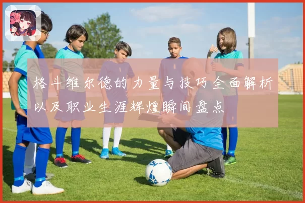 格斗维尔德的力量与技巧全面解析以及职业生涯辉煌瞬间盘点