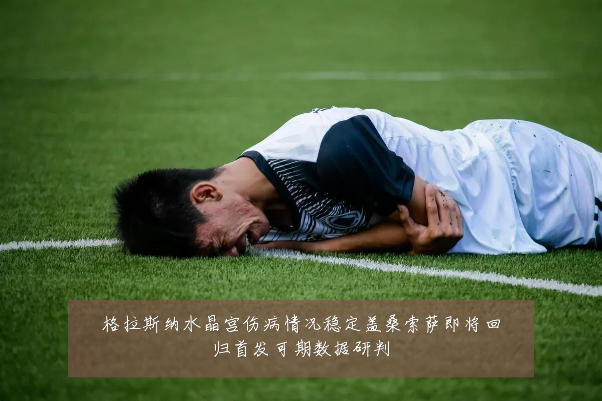 格拉斯纳水晶宫伤病情况稳定盖桑索萨即将回归首发可期数据研判